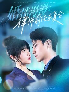 婚情漫漫，律師前任求復(fù)合